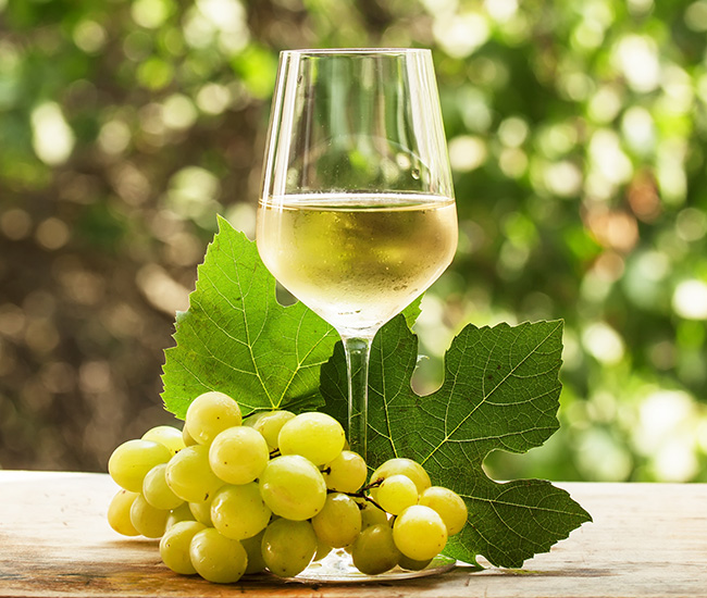 Vente champagne brut